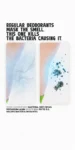 Aloevera1_989b61bc-8979-4ecf-aa7e-f4bbc1709696